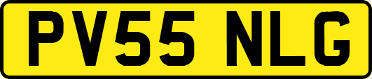 PV55NLG