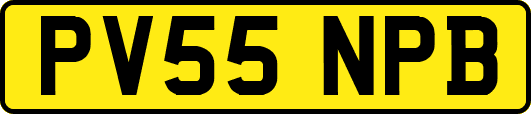 PV55NPB