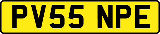 PV55NPE