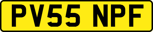 PV55NPF