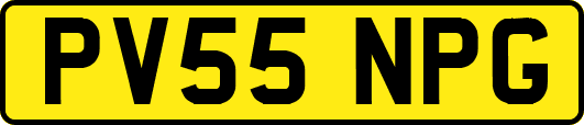 PV55NPG