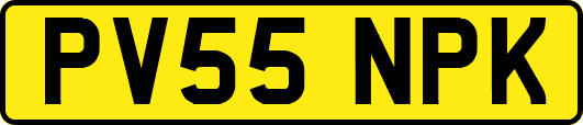 PV55NPK