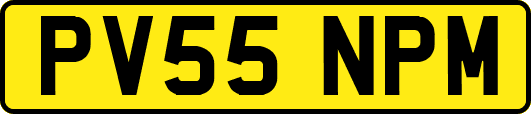 PV55NPM