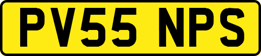PV55NPS