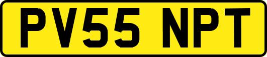 PV55NPT