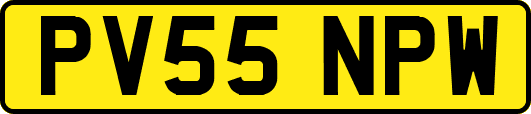 PV55NPW