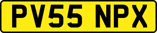 PV55NPX