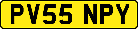 PV55NPY