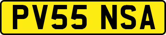 PV55NSA