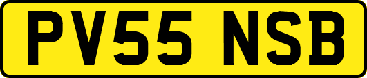 PV55NSB