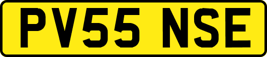 PV55NSE