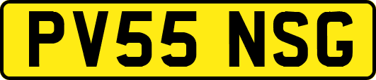 PV55NSG