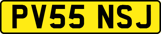 PV55NSJ