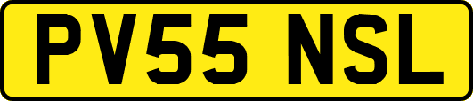 PV55NSL