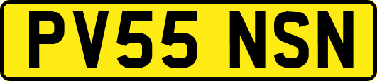 PV55NSN