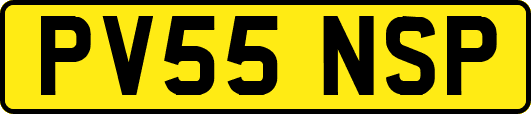 PV55NSP