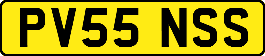PV55NSS