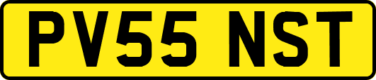 PV55NST
