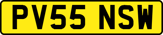 PV55NSW