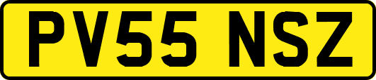 PV55NSZ