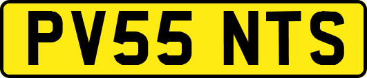 PV55NTS