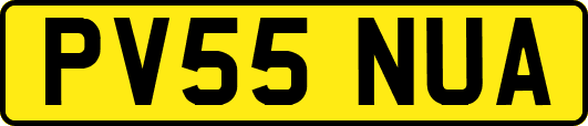 PV55NUA