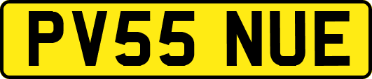 PV55NUE