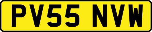 PV55NVW