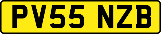 PV55NZB