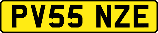 PV55NZE