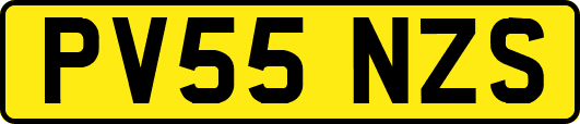 PV55NZS