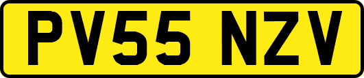 PV55NZV