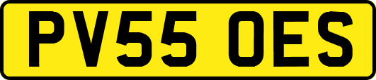 PV55OES