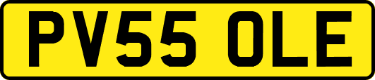 PV55OLE