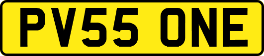 PV55ONE