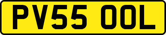 PV55OOL