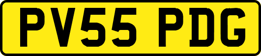 PV55PDG