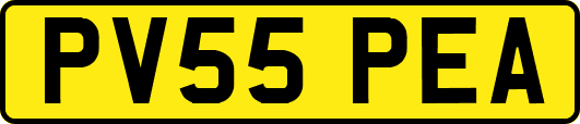 PV55PEA