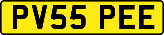PV55PEE