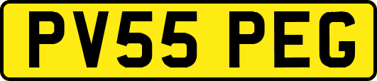 PV55PEG