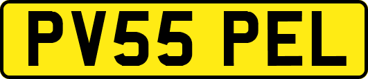 PV55PEL