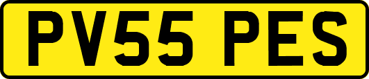 PV55PES