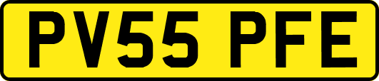 PV55PFE