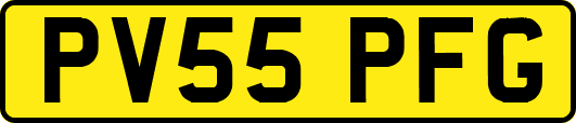 PV55PFG