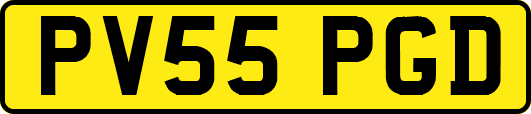 PV55PGD