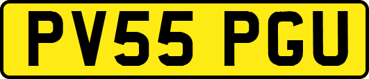 PV55PGU