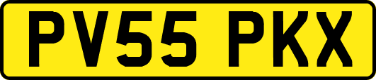 PV55PKX