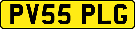 PV55PLG
