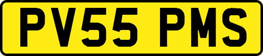 PV55PMS