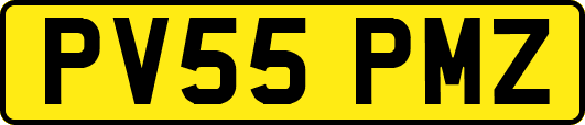 PV55PMZ